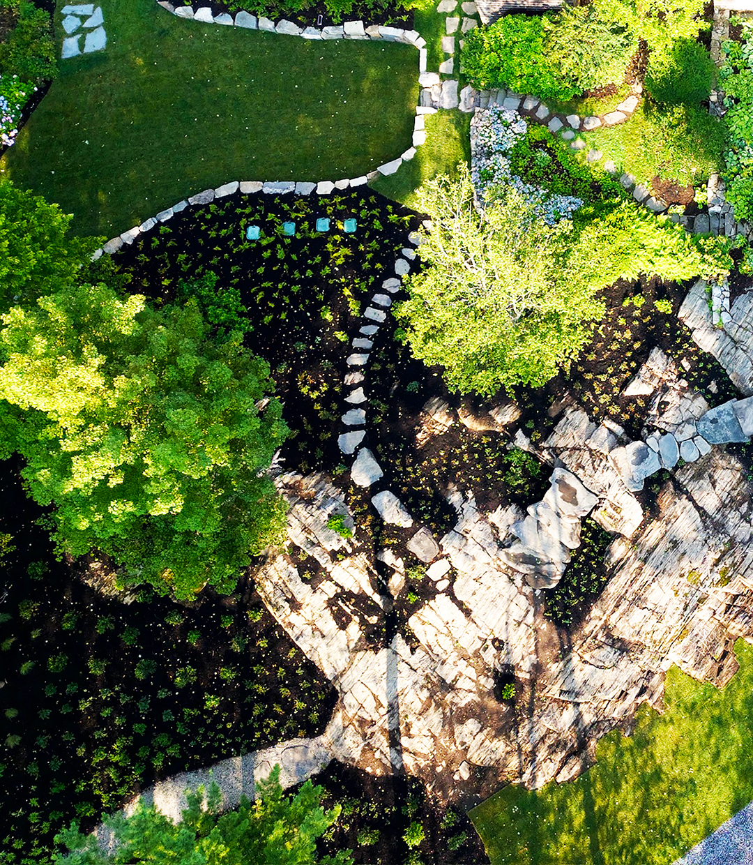 Landscaping & Planting